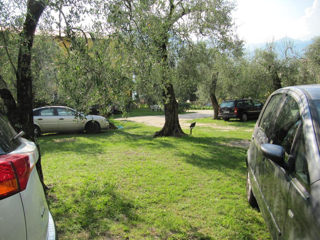Hotel Carlo Brenzone sul Garda Εξωτερικό φωτογραφία